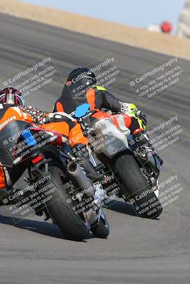 media/Feb-04-2023-SoCal Trackdays (Sat) [[8a776bf2c3]]/Turn 10 Backside (1010am)/